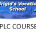 Post Leaving Certificate - Plc Certification Courses