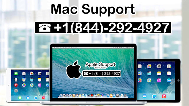 Mac Support number