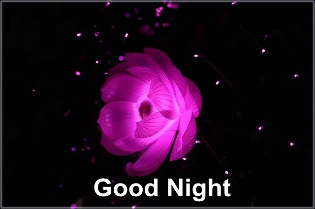 "Good Night, Good Night Images, Good Night Wallpaper"
