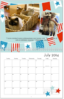 2014_Goma_Calendar_July
