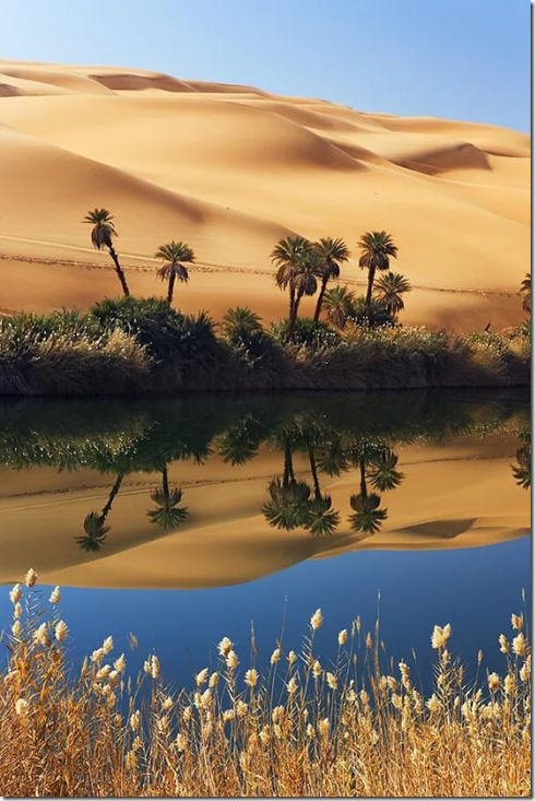 Desert scenery002