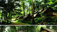 KELESTARIAN HUTAN BADUY TERJAGA