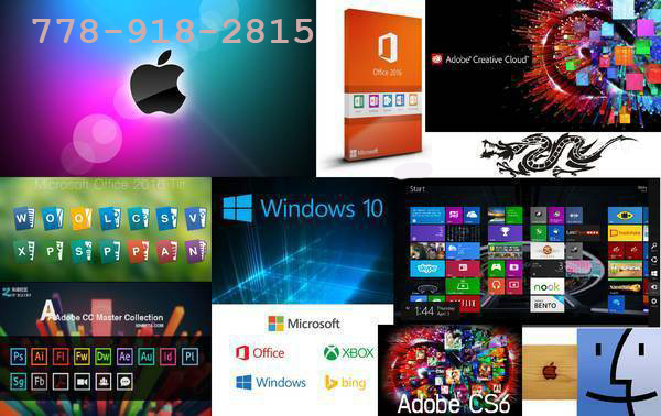 best home library cataloging software