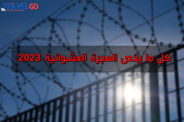 الهجرة العشوائية
