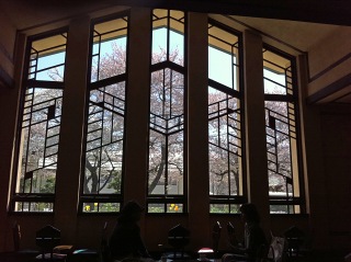 Img_0146 Img_0146
