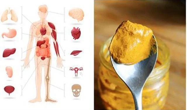 What Happens To Your Body When You Take A Turmeric Spoon Every Day