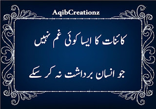 50 Best New Aqwal e Zareen in Urdu you Must Read in 2019