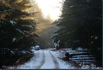 12-sunrays