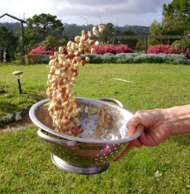 tossing to remove peanut skins