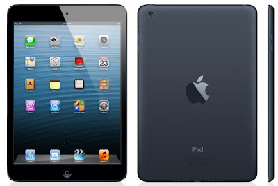 IPad Mini Black & slate