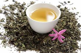 8 Benefits of White Tea For Health