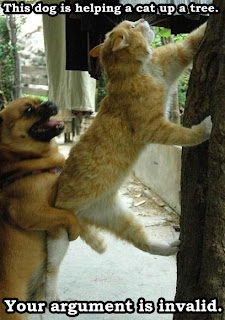 your argument is invalid this dog is helping a cat up a tree, your argument is invalid, this dog is helping a cat up a tree, funny animals, funny cat, funny cat and dog, invalid argument cat dog