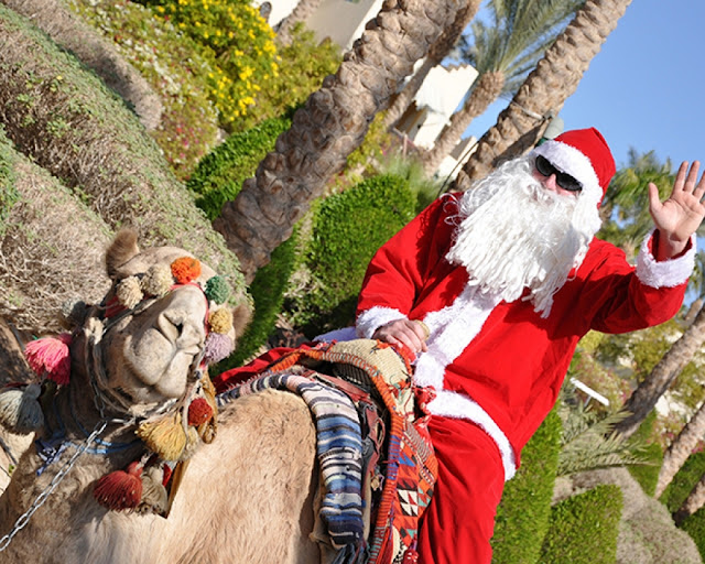 Egypt Xmas and New Year Tours