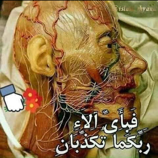 صورة