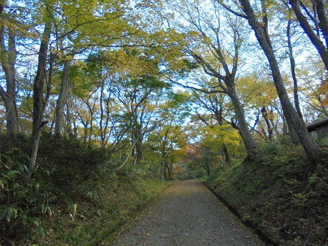 下山キャンプ場