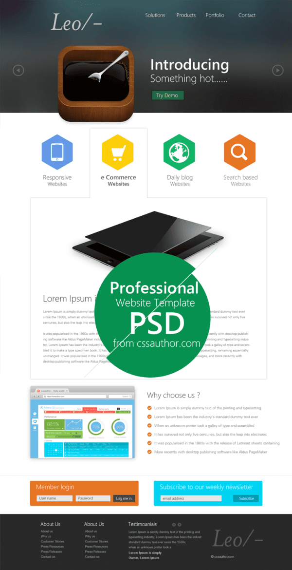 Website Template Design PSD