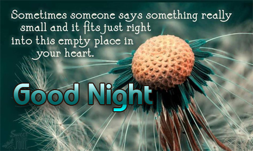 Good Night Flowers Images with Quotes 1