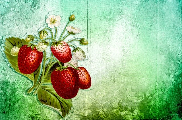 15 Koleksi Gambar Strawberry Segar Servergambar01