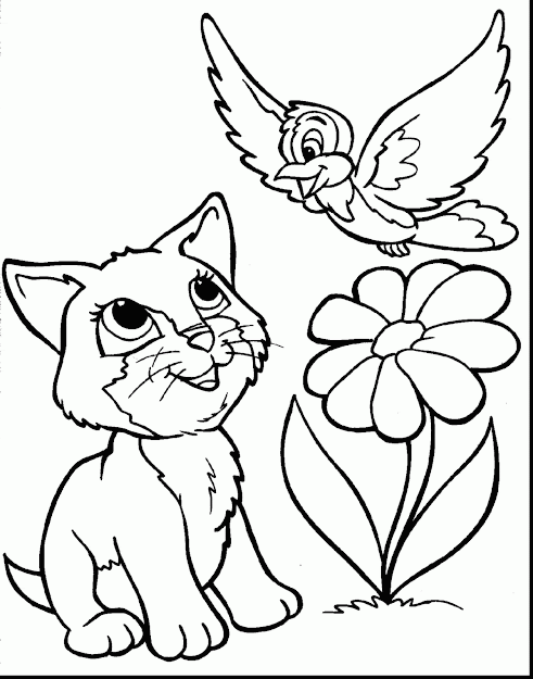 Remarkable Cute Animal Coloring Pages With Coloring Pages Of And Coloring  Pages Of Owls