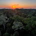 Começa hoje em Brasília a 5ª Conferência Nacional do Meio Ambiente
