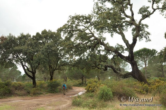 Sendero La Teja