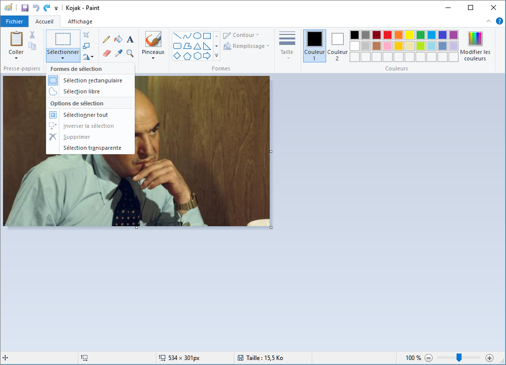 Flouter Une Partie D Une Photo Avec Paint