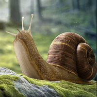 WOW Wonder Snail Forest E…