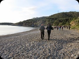 IMG_0001