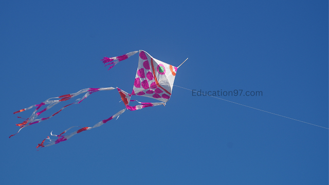 Kite Flying Photo