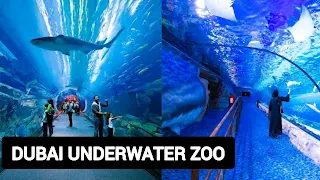 Dubai underwater zoo, Best places to visit