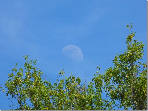 June 21, 2018, about 3 pm, Alfred A. Loeb State Park