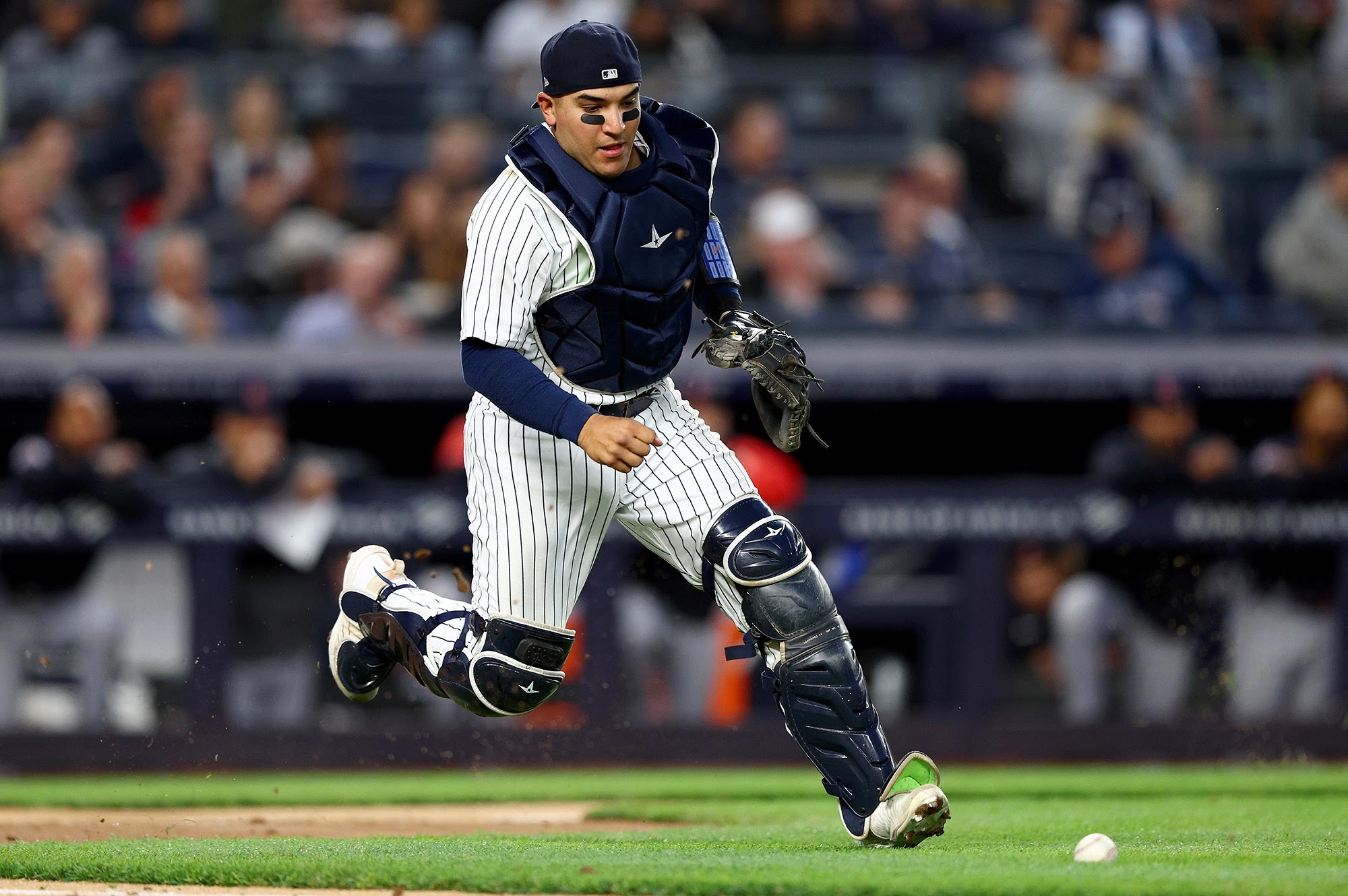 Jose Trevino injury update: Yankees C set to undergo season-ending