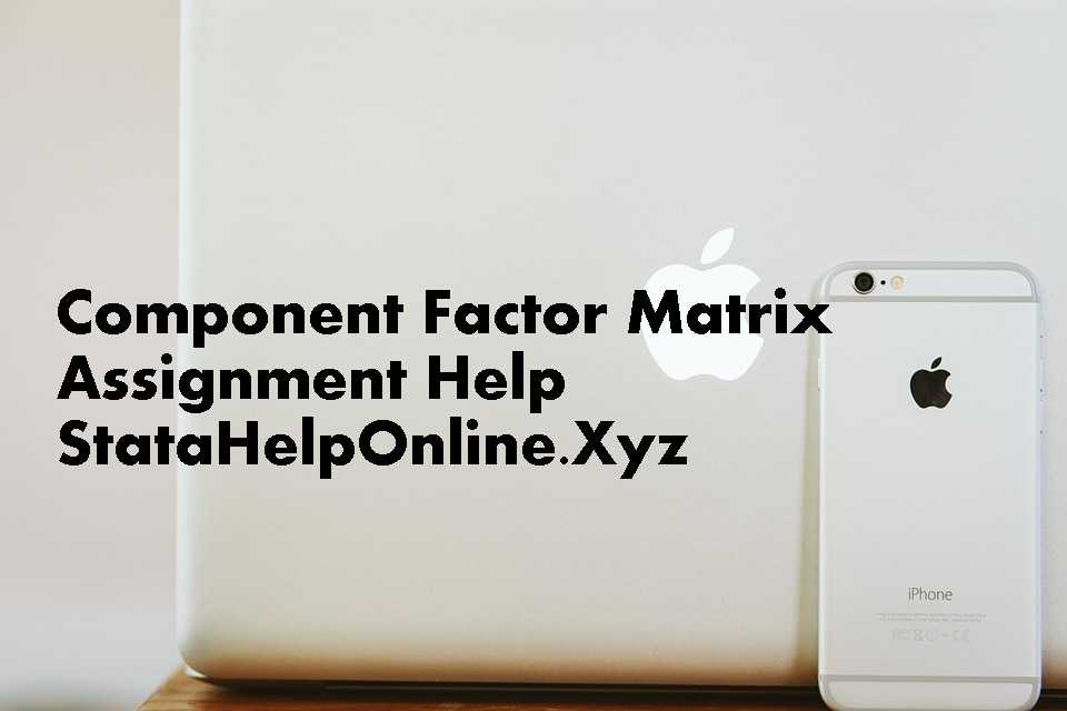 Community Project Assignment Help