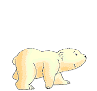 polarbearcub