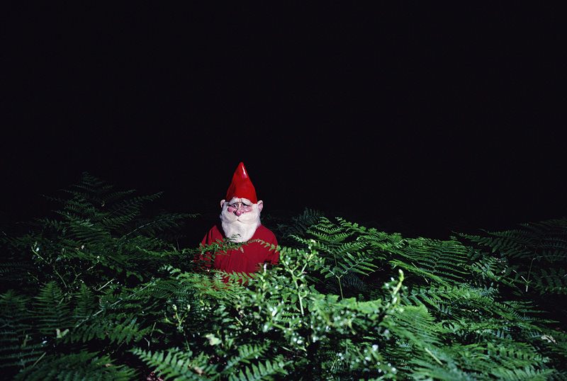 Julian Hibbard Photography - Did you miss me? - Gnome