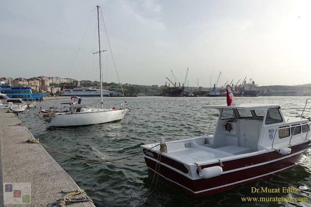 Bandırma Sahili - Tüm Otel Restaurant - Bandırma Fotoğrafları - Bandırma Sahili Fotoğrafları - Bandırma Görüntüleri - Bandırma Fotoları - Bandırma Manzaraları - Bandırma Plajları