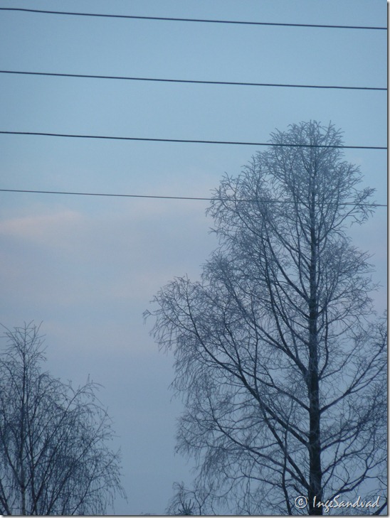 P1010250