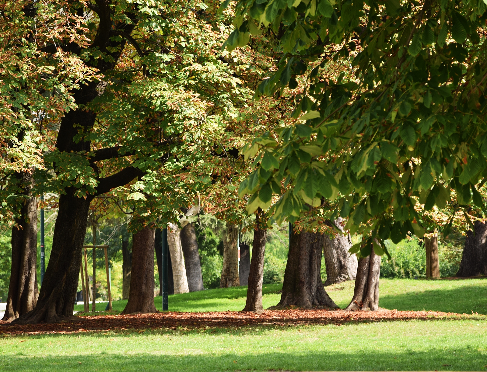 Parco Sempione Milan, Italy