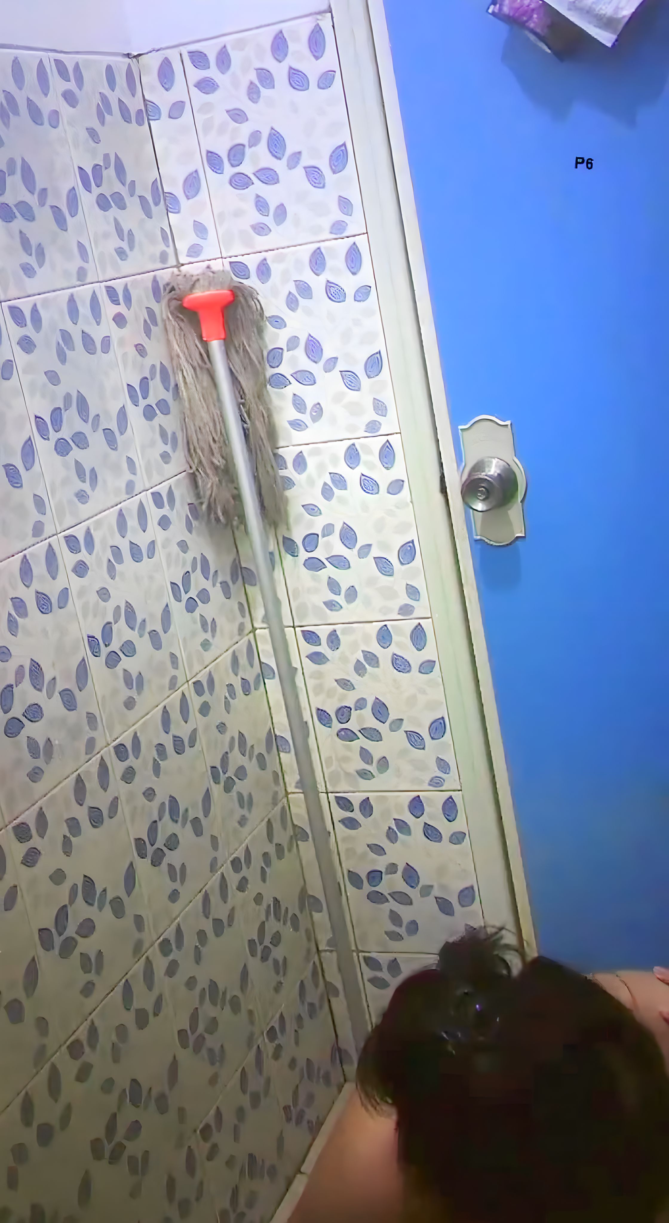 Ngintip mandi pintu biru