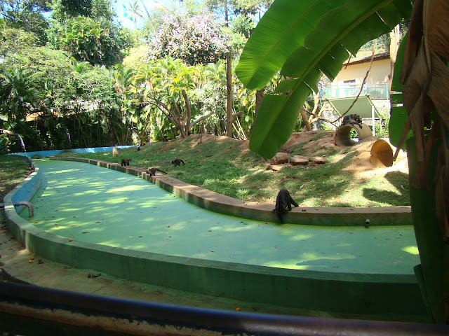 Zoo de Salvador