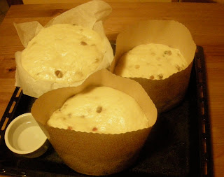 Christmas “Panettone”