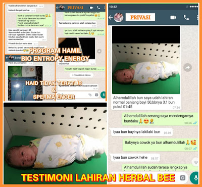 Testimoni Kelahiran Setelah Promil Bee