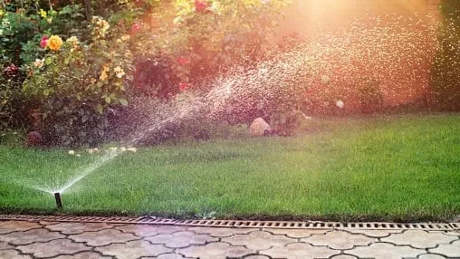 Best Sprinkler For Large Yard