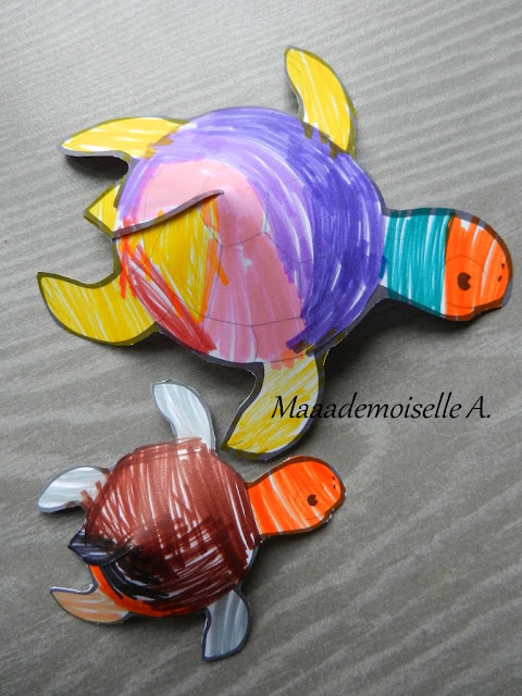 || Activité : Tortues en papier