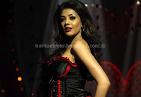 Telugu, actress, kajal, agarwal, hot, images