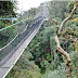 Nyungwe Forest National Park With Canopy Walk