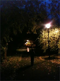 a night walk in the park