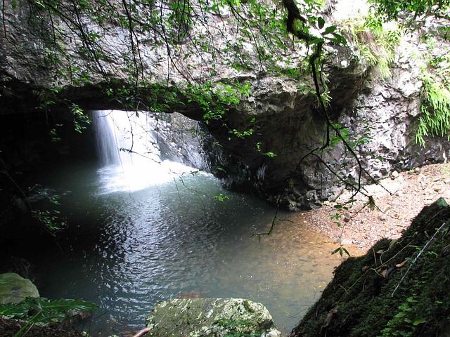 Springbrook national park