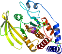 2CMC oriented towards pocket containing cysteine molecule