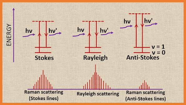 The Rayleigh scattering and the Raman scattering.